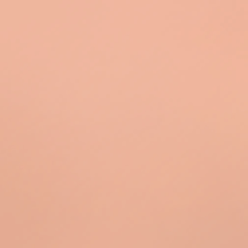 Warm Beige